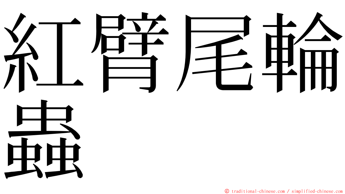 紅臂尾輪蟲 ming font