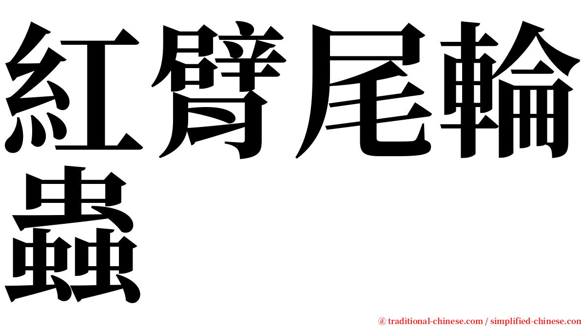 紅臂尾輪蟲 serif font