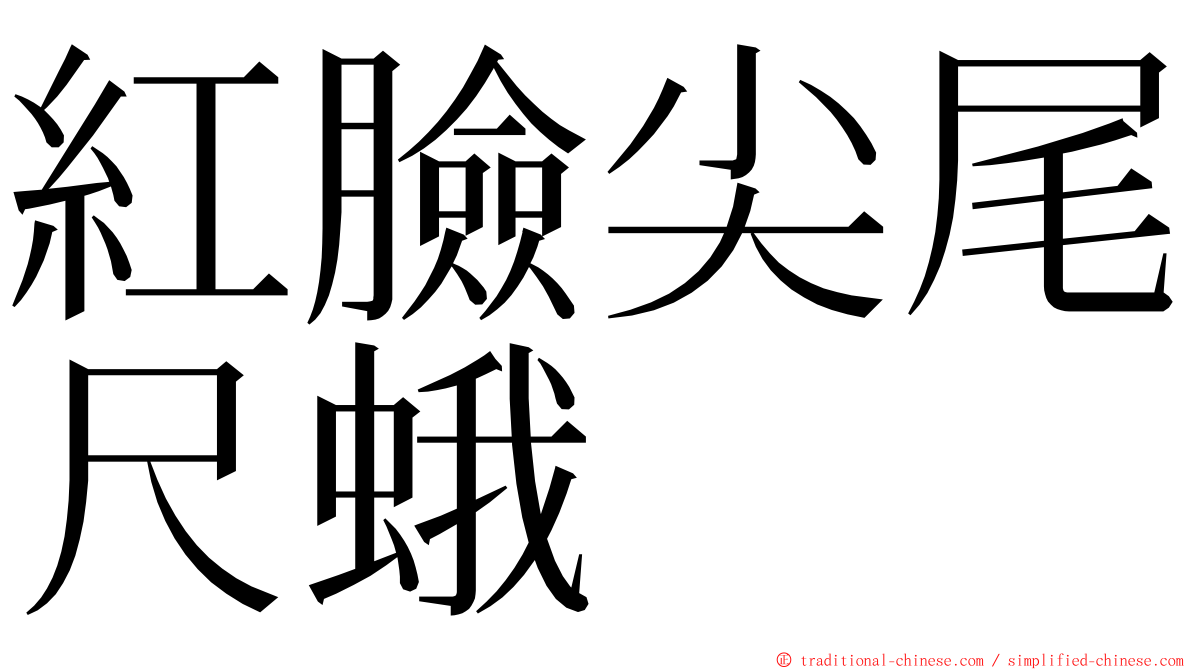 紅臉尖尾尺蛾 ming font