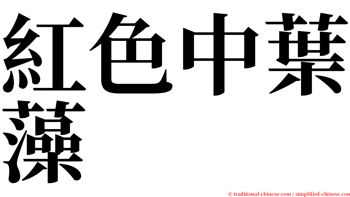 紅色中葉藻 serif font