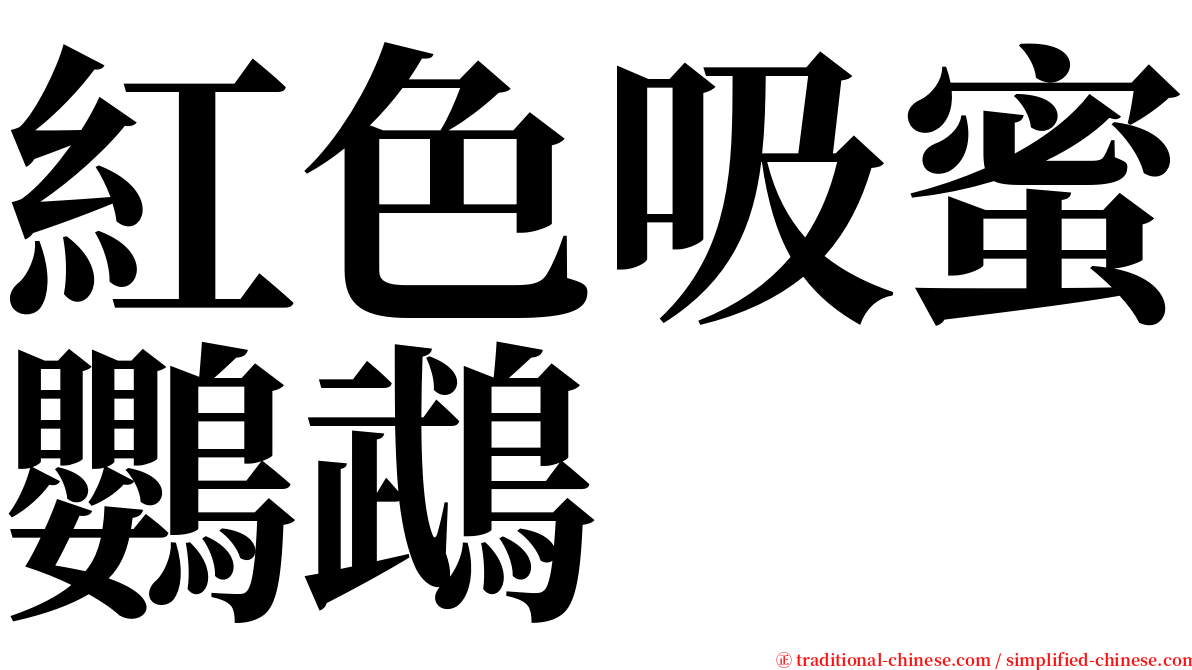 紅色吸蜜鸚鵡 serif font