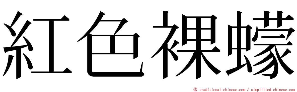 紅色裸蠓 ming font