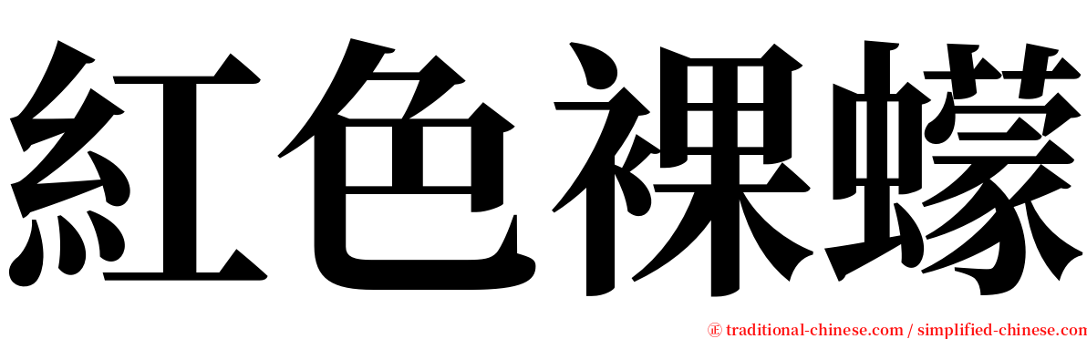 紅色裸蠓 serif font