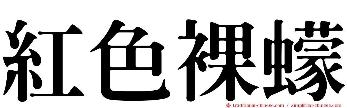 紅色裸蠓