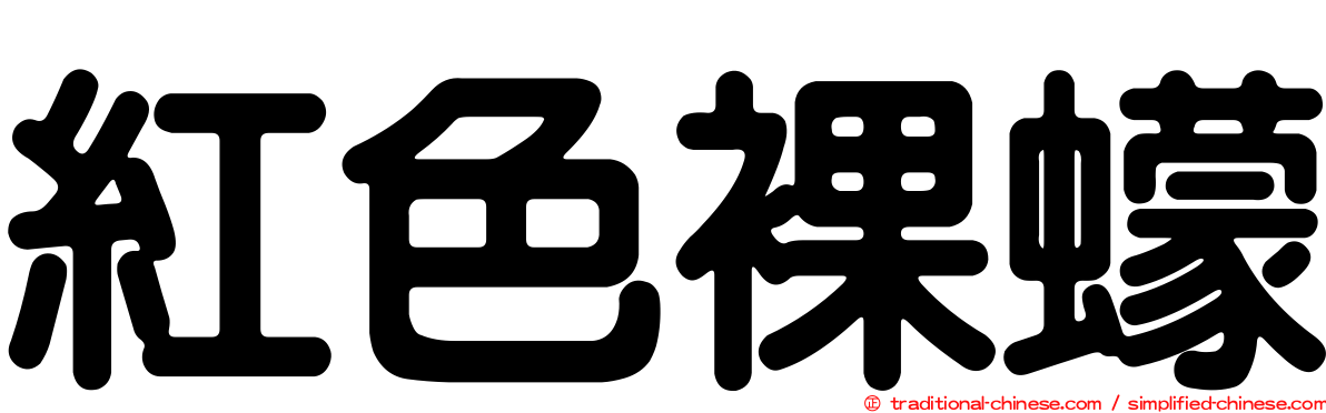 紅色裸蠓