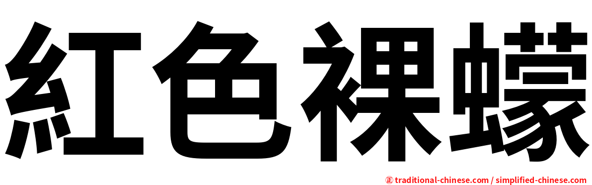 紅色裸蠓