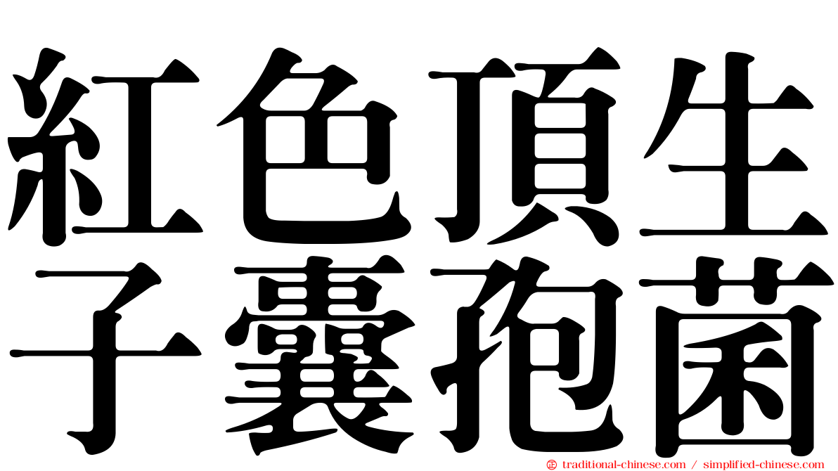 紅色頂生子囊孢菌
