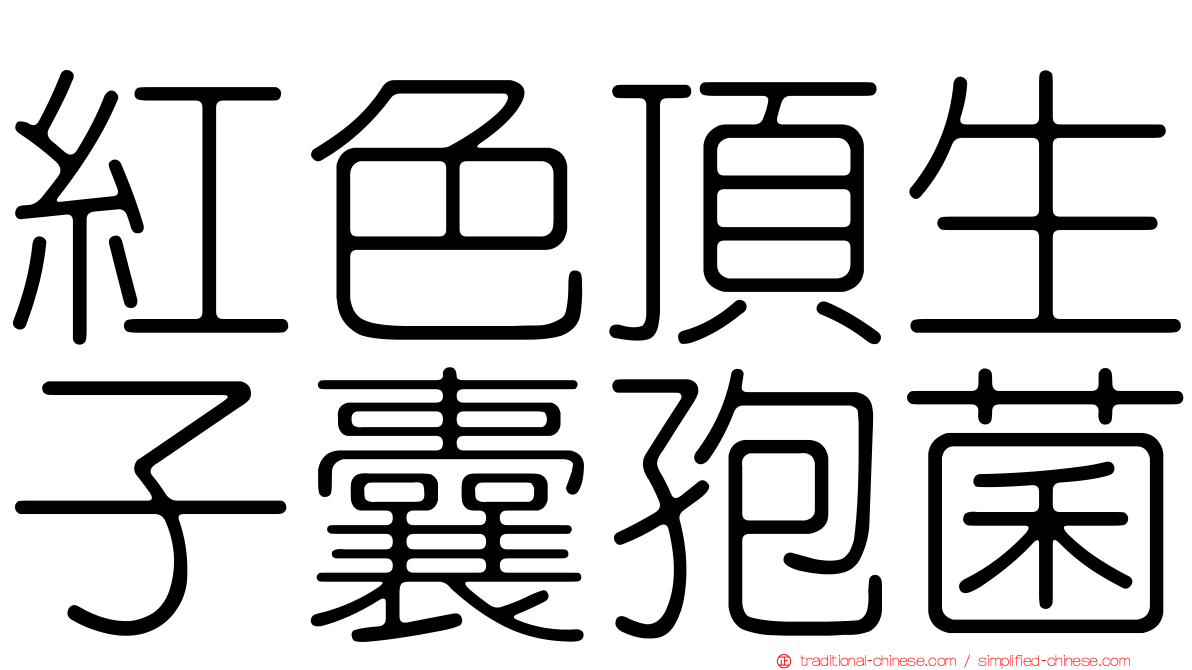 紅色頂生子囊孢菌