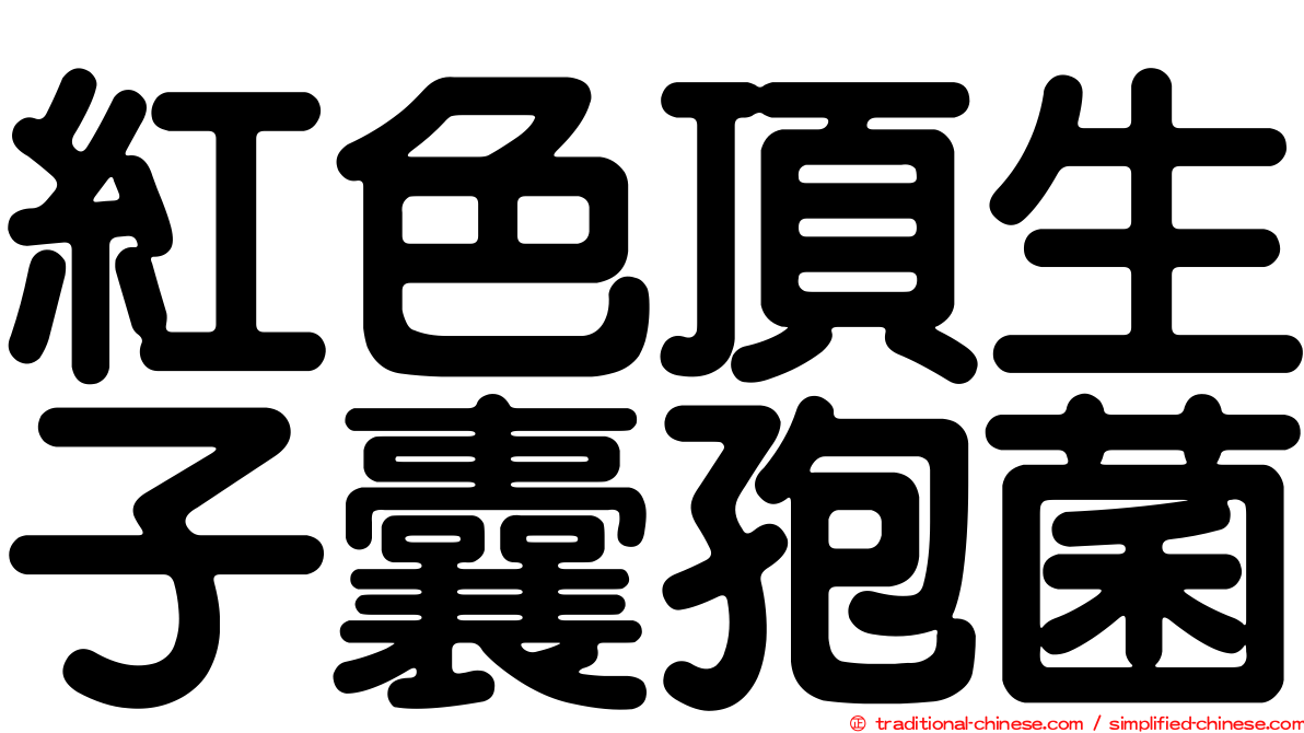 紅色頂生子囊孢菌