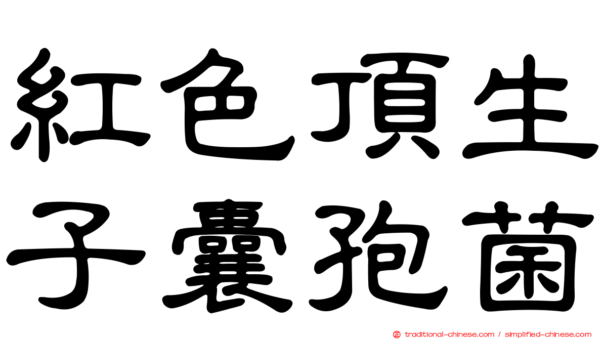 紅色頂生子囊孢菌