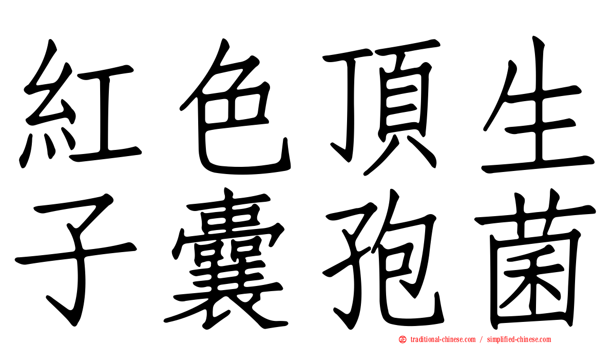 紅色頂生子囊孢菌