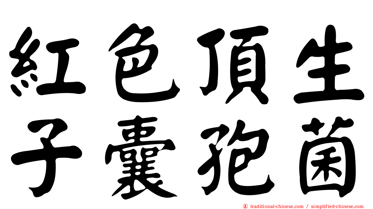 紅色頂生子囊孢菌