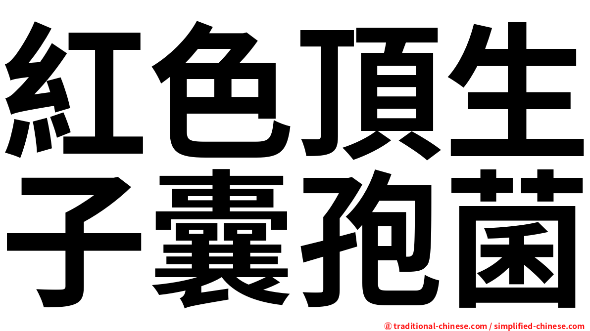 紅色頂生子囊孢菌