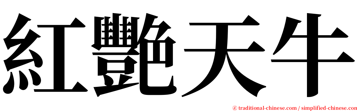 紅艷天牛 serif font