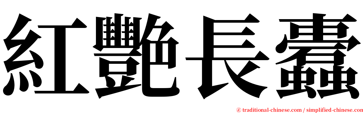 紅艷長蠹 serif font