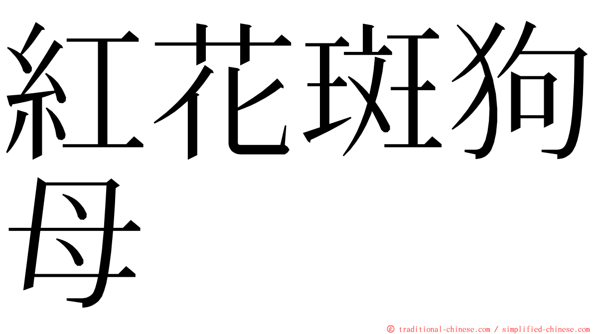 紅花斑狗母 ming font