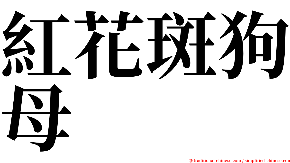 紅花斑狗母 serif font