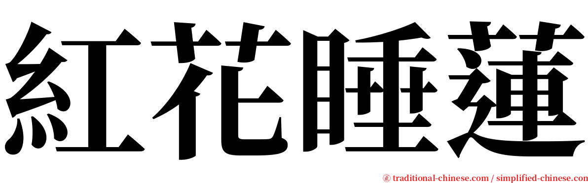 紅花睡蓮 serif font