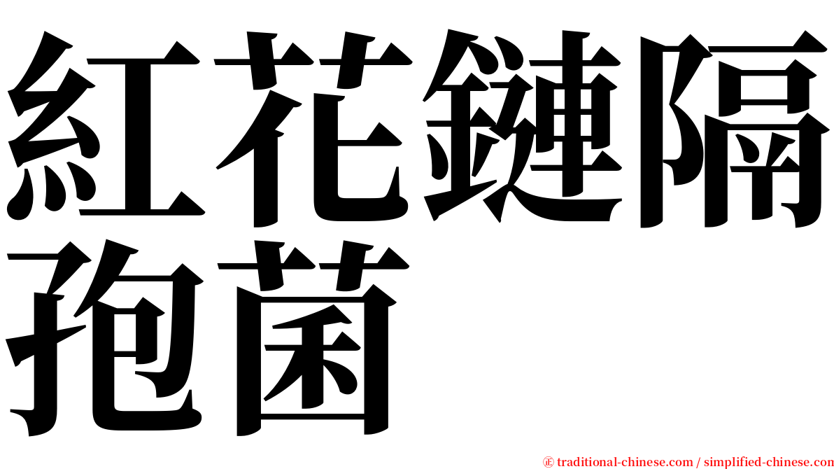 紅花鏈隔孢菌 serif font