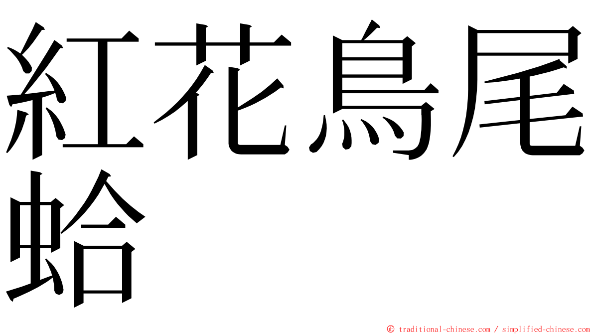 紅花鳥尾蛤 ming font