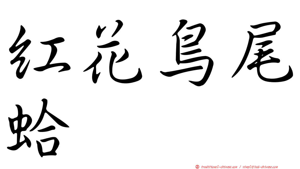 紅花鳥尾蛤