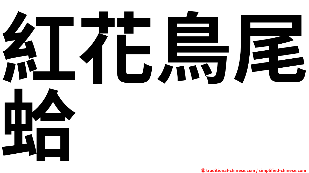 紅花鳥尾蛤