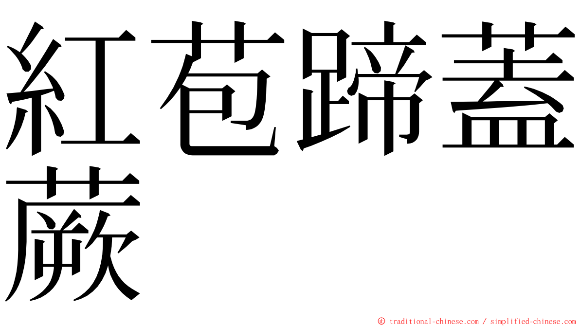 紅苞蹄蓋蕨 ming font