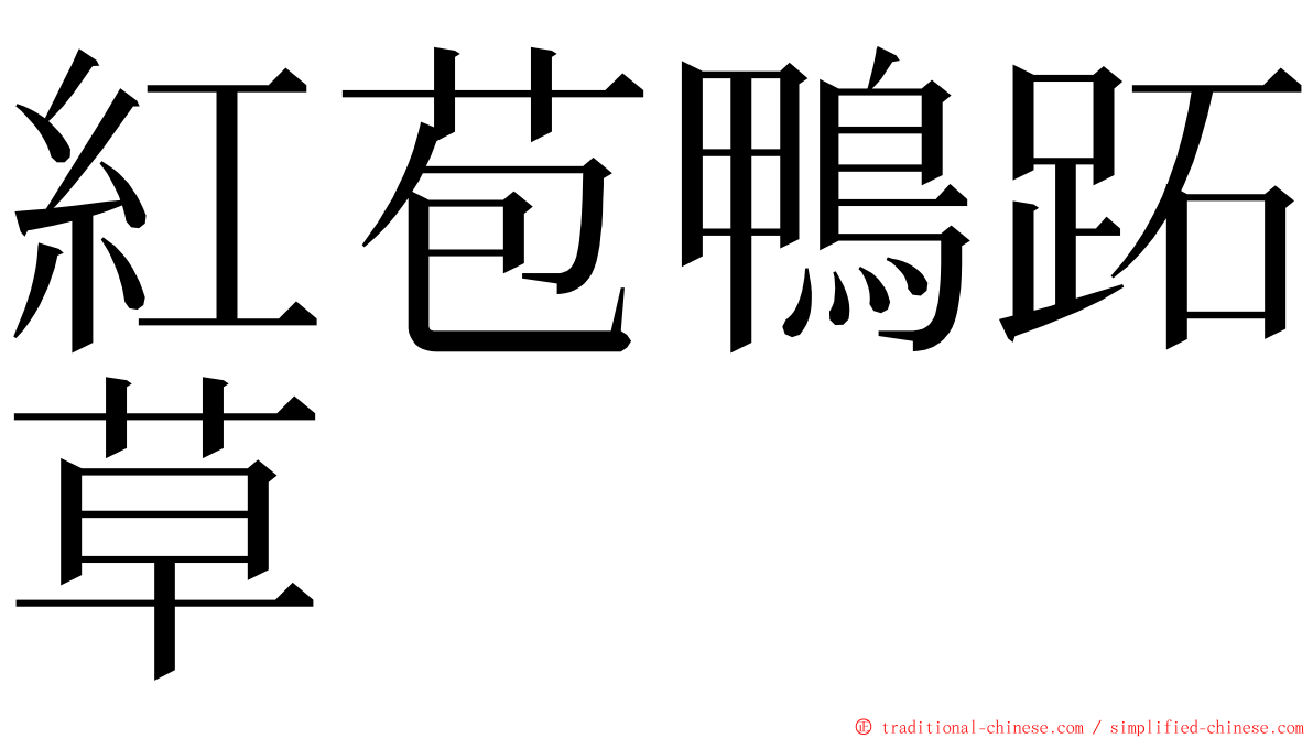 紅苞鴨跖草 ming font