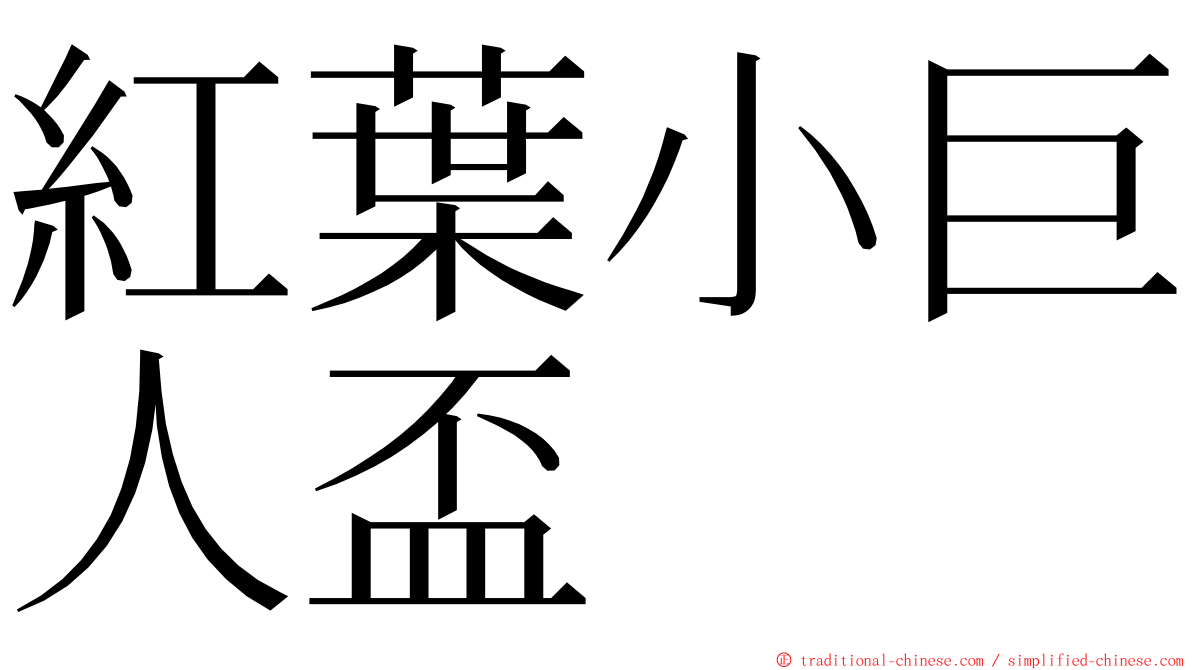 紅葉小巨人盃 ming font