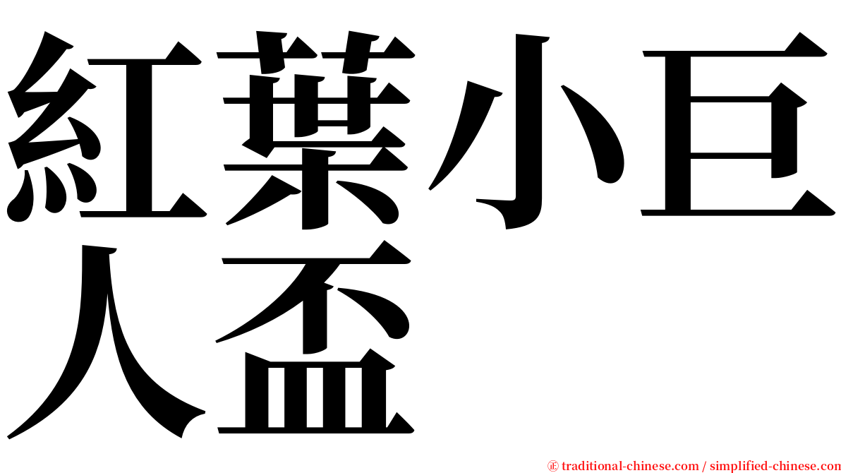 紅葉小巨人盃 serif font