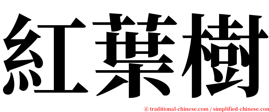 紅葉樹 serif font