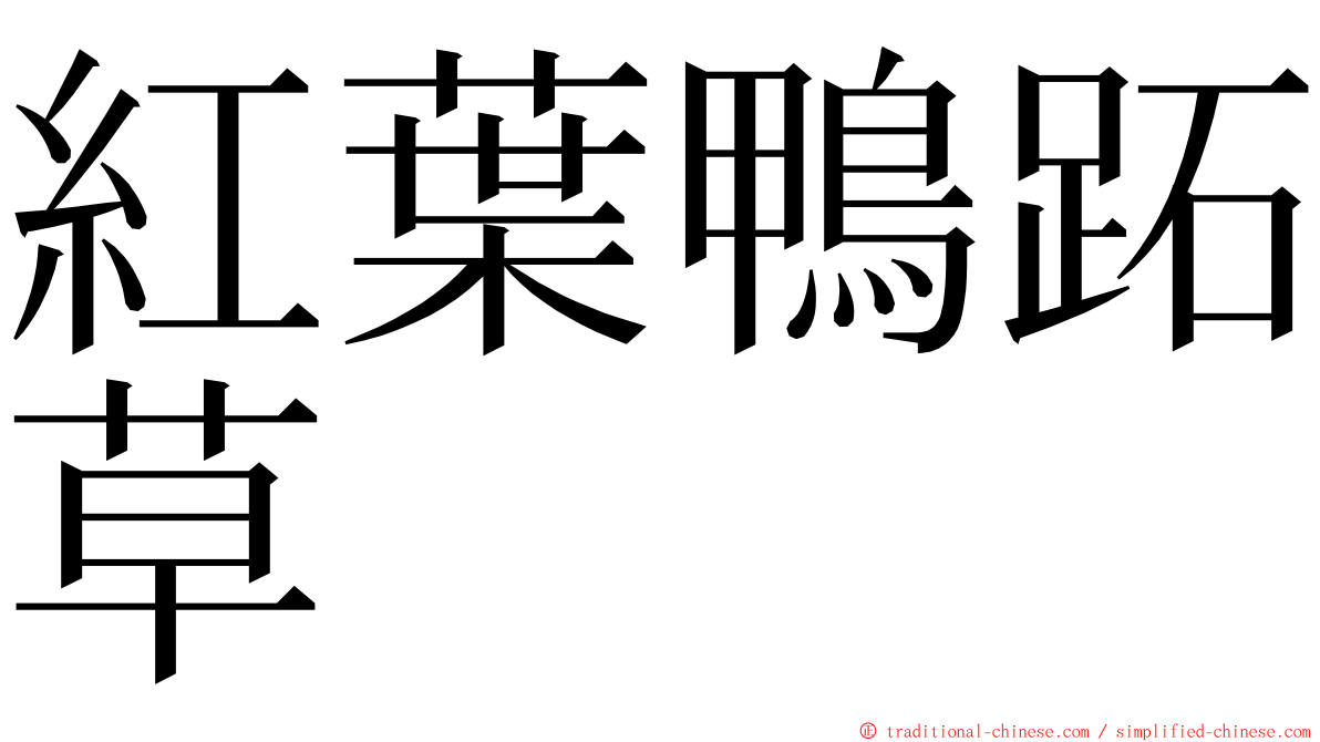 紅葉鴨跖草 ming font