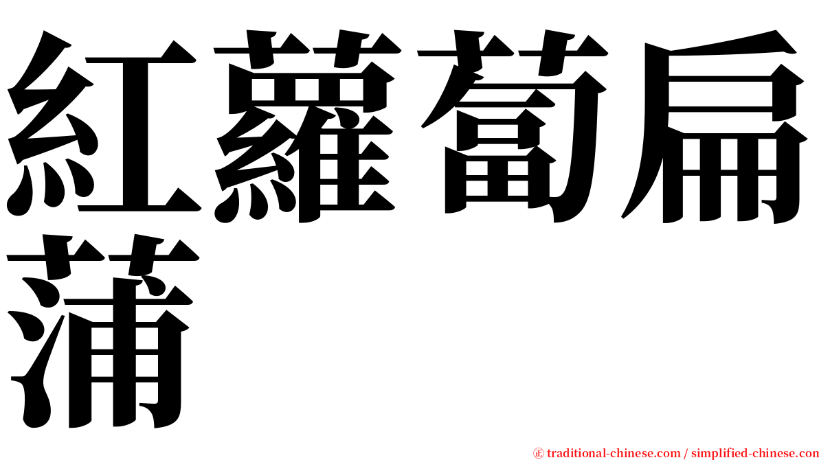 紅蘿蔔扁蒲 serif font