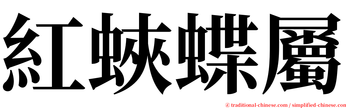 紅蛺蝶屬 serif font