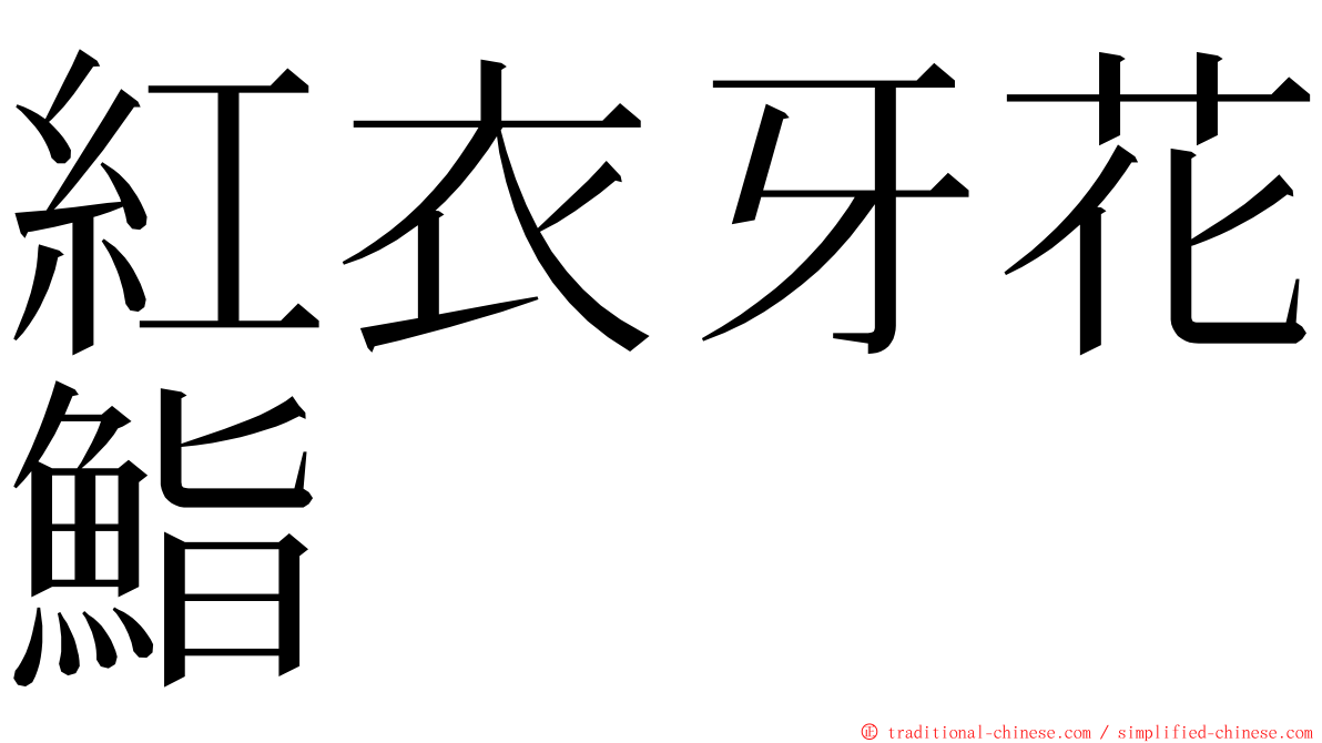 紅衣牙花鮨 ming font