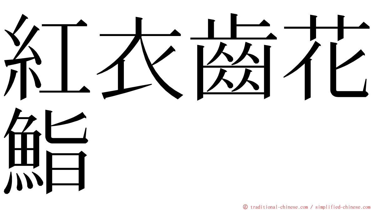 紅衣齒花鮨 ming font