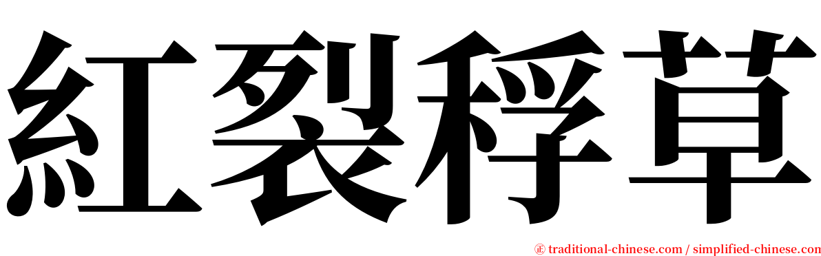 紅裂稃草 serif font