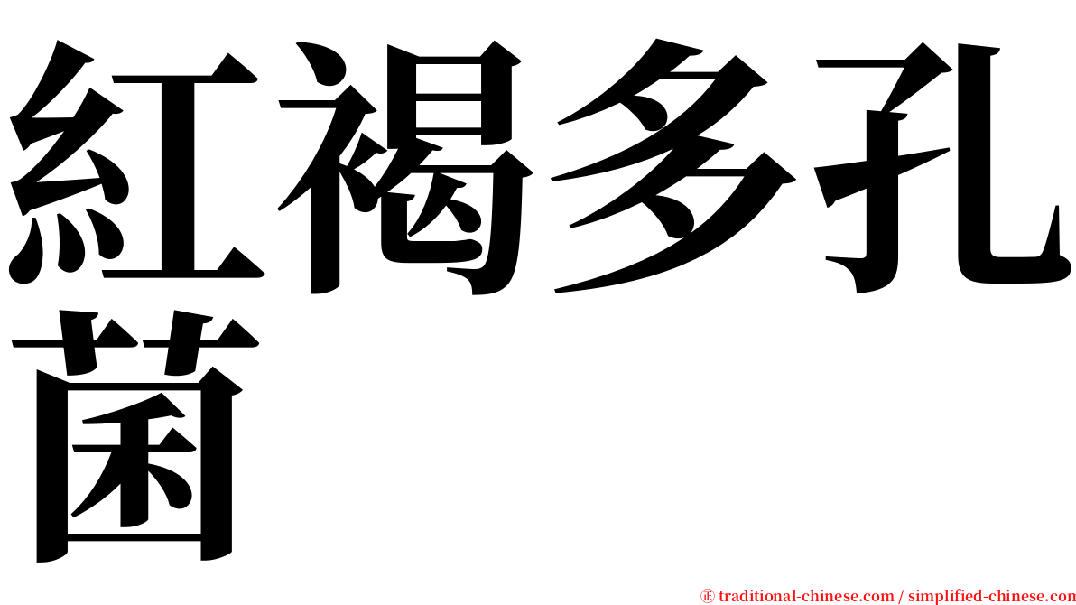 紅褐多孔菌 serif font