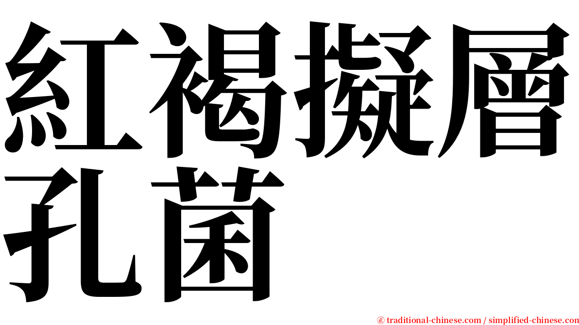 紅褐擬層孔菌 serif font