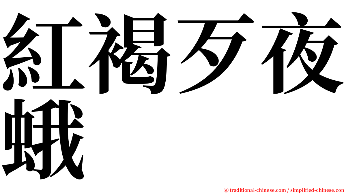 紅褐歹夜蛾 serif font