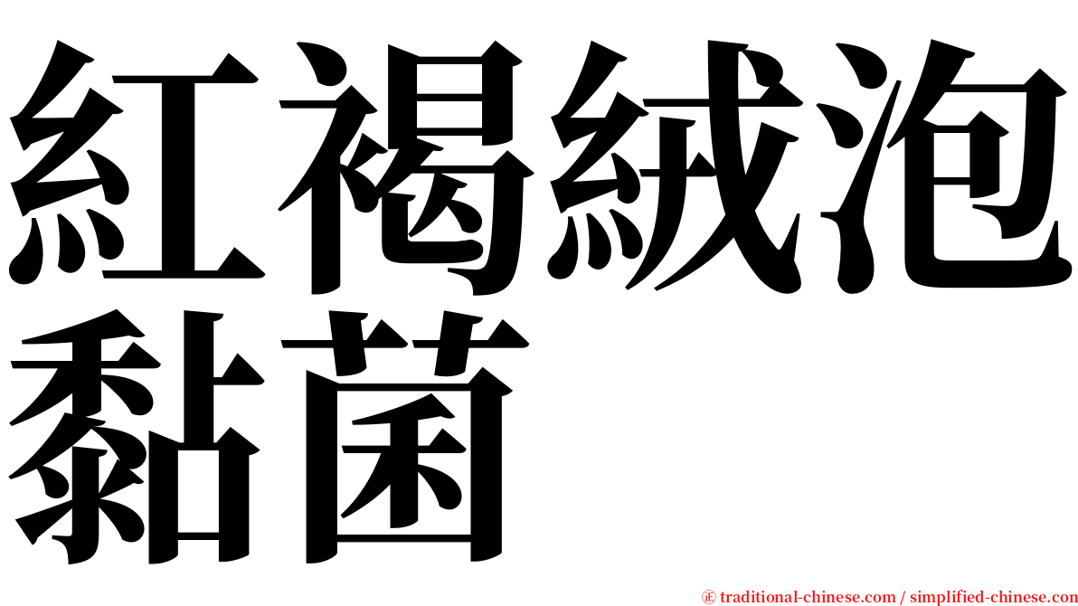 紅褐絨泡黏菌 serif font