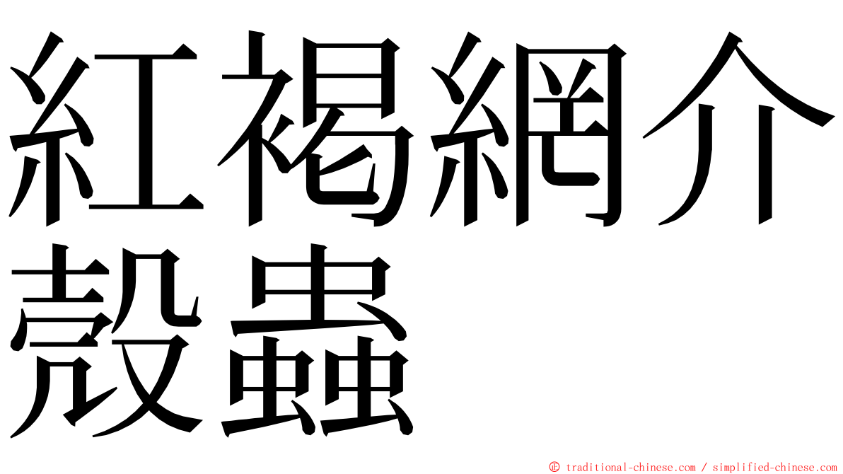 紅褐網介殼蟲 ming font