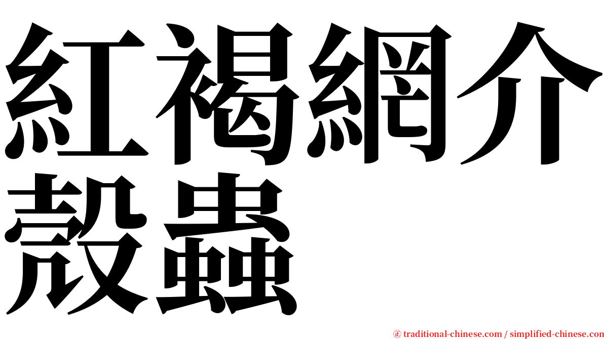 紅褐網介殼蟲 serif font
