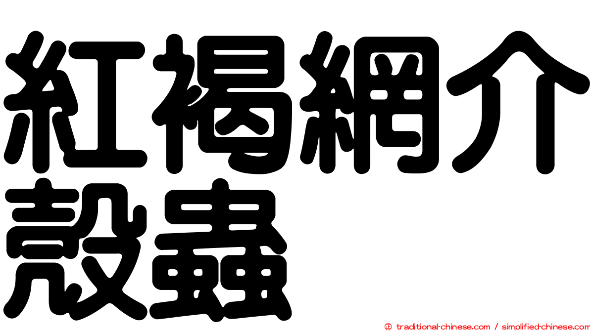 紅褐網介殼蟲