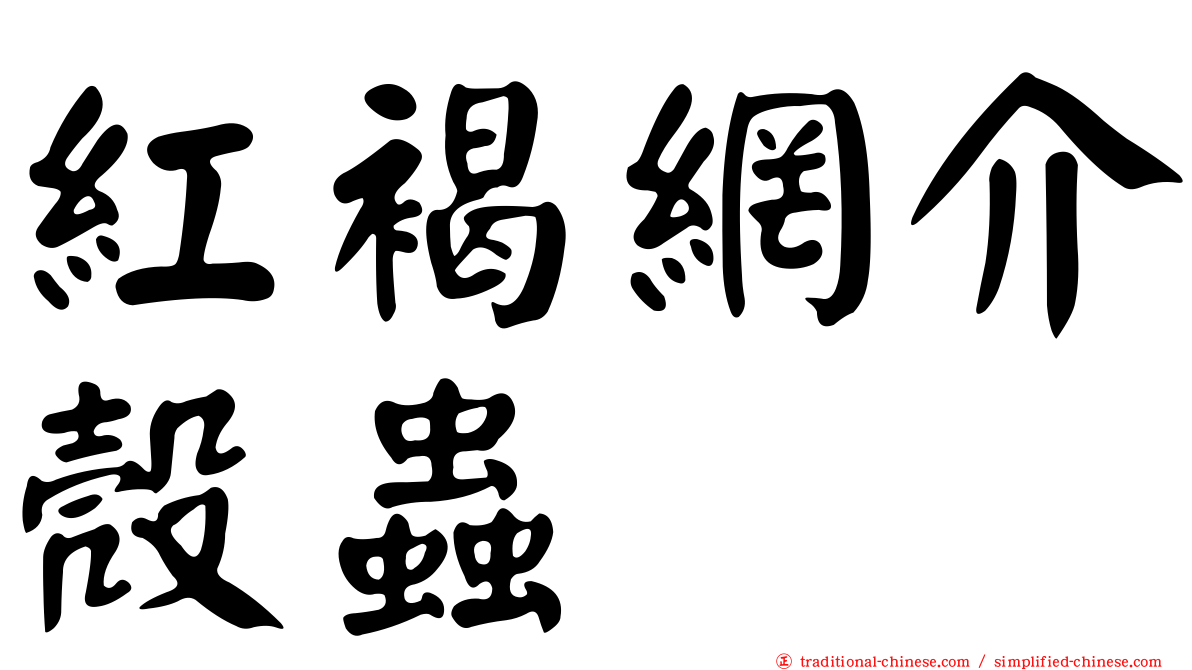 紅褐網介殼蟲