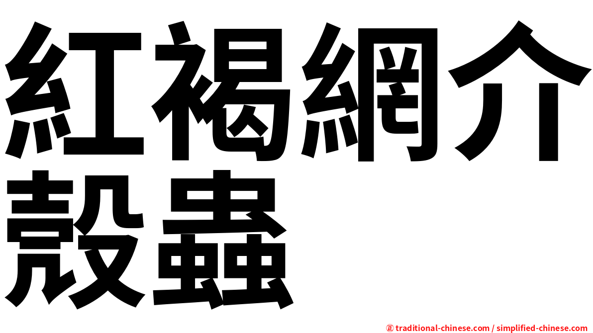 紅褐網介殼蟲