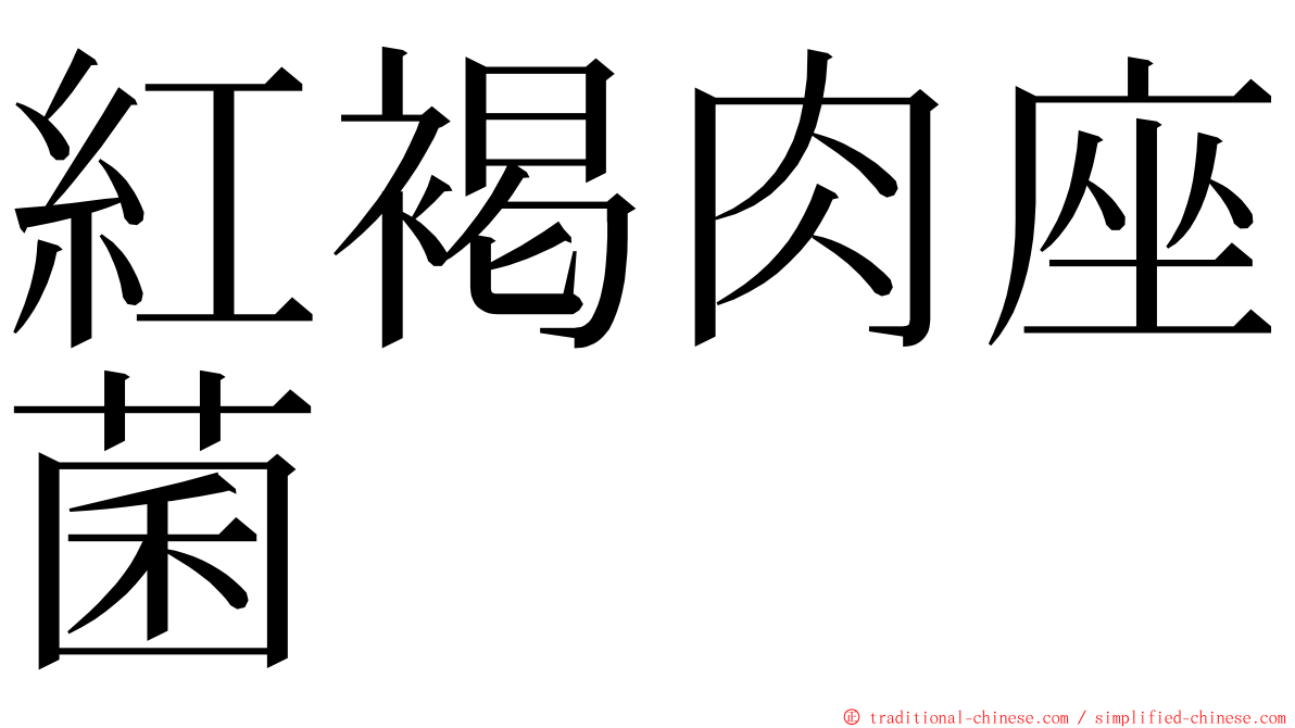 紅褐肉座菌 ming font