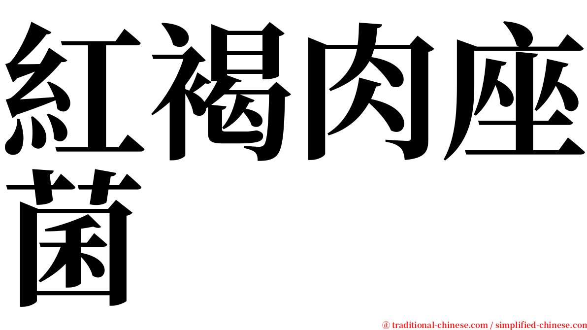 紅褐肉座菌 serif font