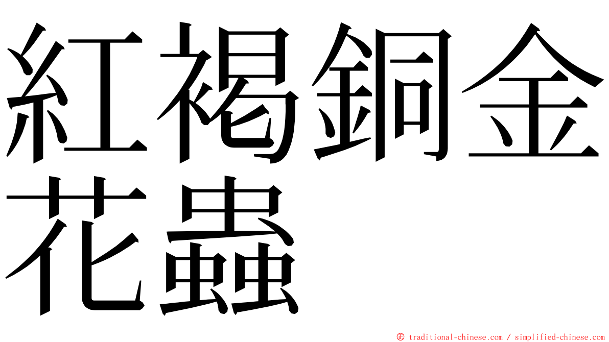 紅褐銅金花蟲 ming font