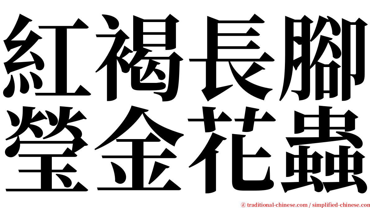 紅褐長腳瑩金花蟲 serif font